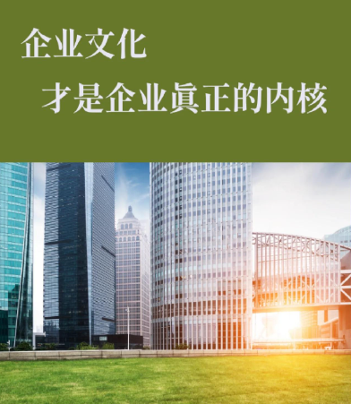 万向轮配件定制解决方案：面向自动化输送线的适配案例分享